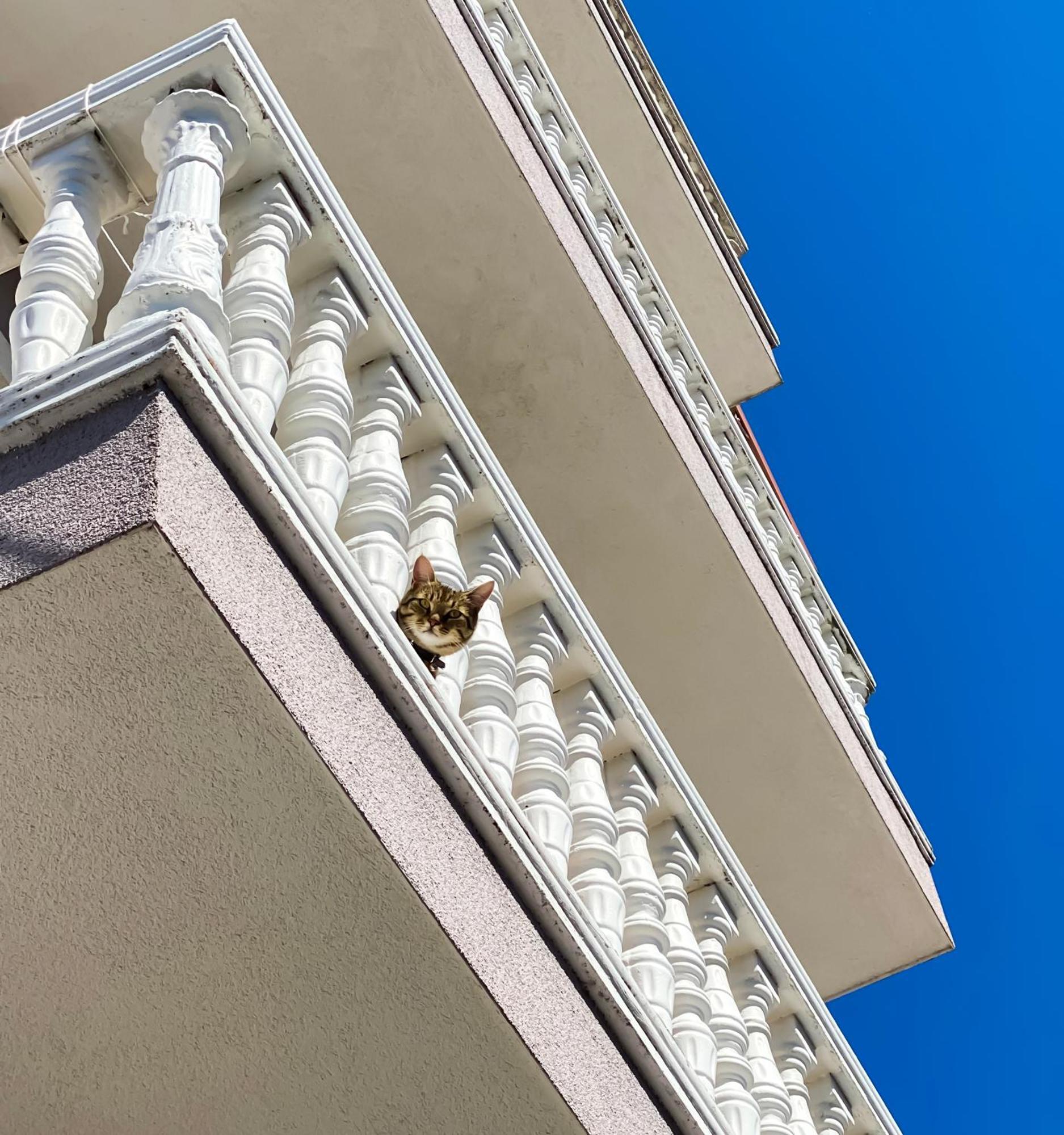 Northgate Apart-Villa Szkodra Zewnętrze zdjęcie